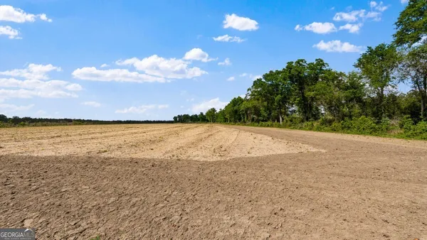 $3,156,975 | 0 Mcmillan Minnie Giddens & Lenox Alapaha Road, Lenox, GA 31637