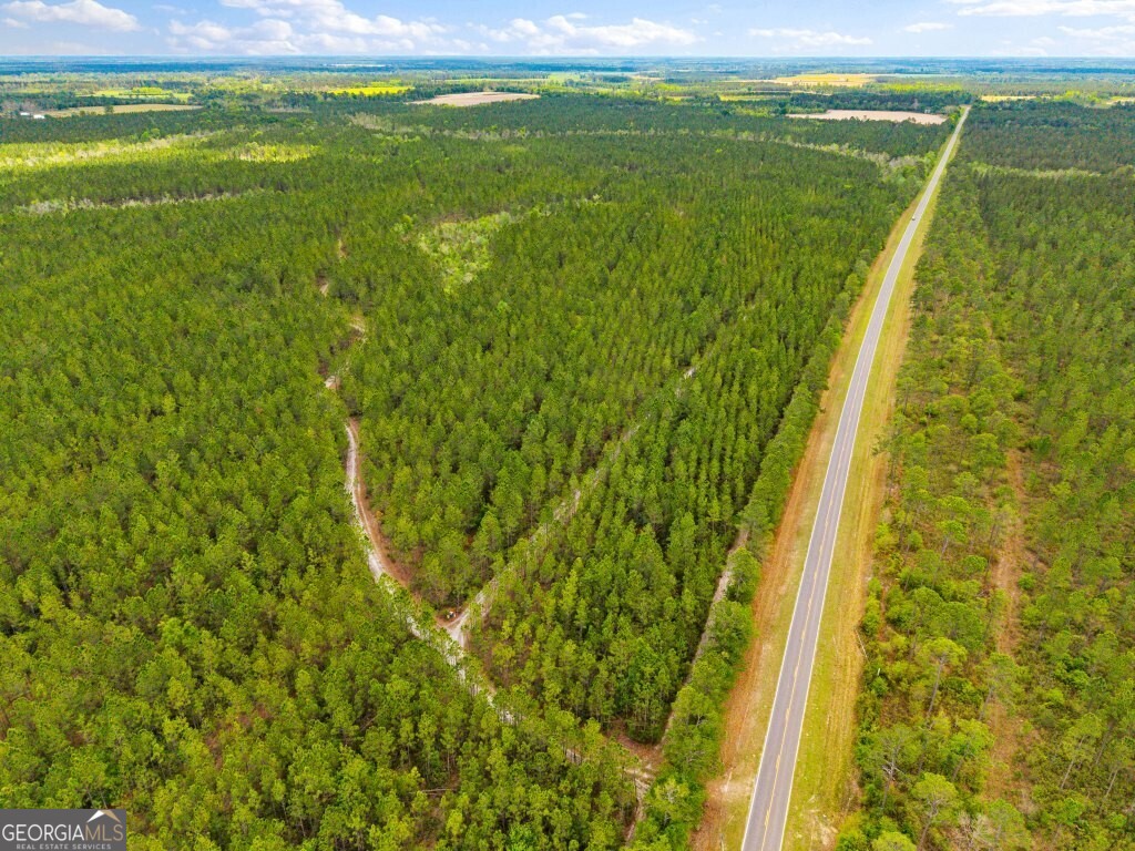 0 Minnie Giddens Road Lenox, GA 31637 - Photo 4 of 49