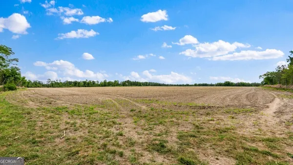 $3,156,975 | 0 Mcmillan Minnie Giddens & Lenox Alapaha Road, Lenox, GA 31637