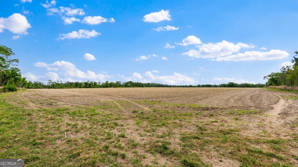 0 Minnie Giddens Road Lenox, GA 31637 - Photo 41 of 49