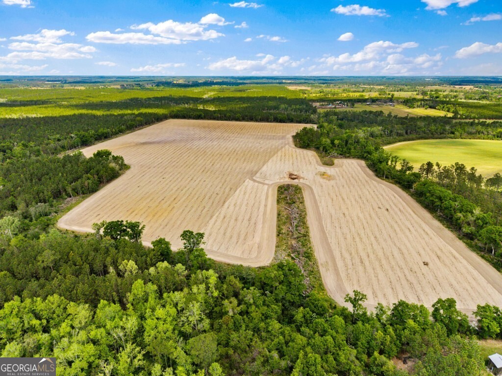 0 Minnie Giddens Road Lenox, GA 31637 - Photo 42 of 49