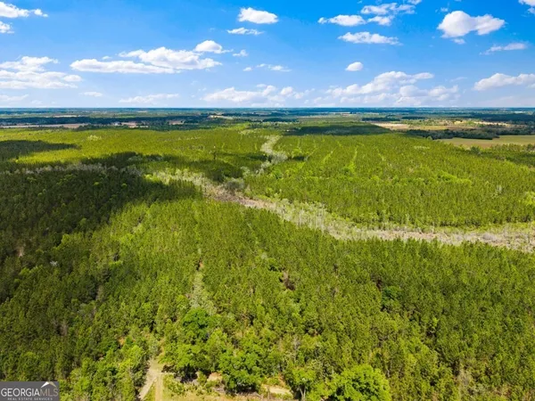 $3,156,975 | 0 Mcmillan Minnie Giddens & Lenox Alapaha Road, Lenox, GA 31637