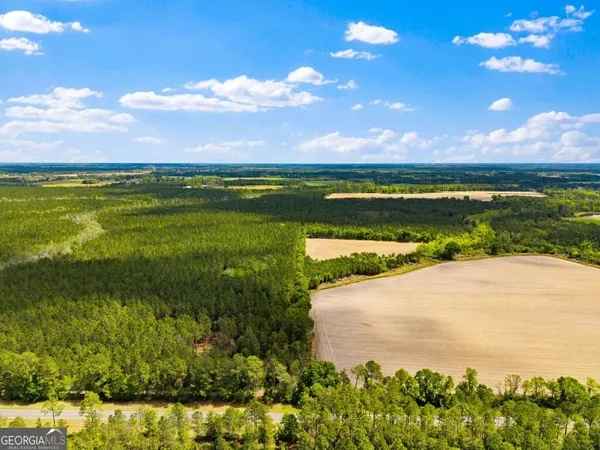 $3,156,975 | 0 Mcmillan Minnie Giddens & Lenox Alapaha Road, Lenox, GA 31637