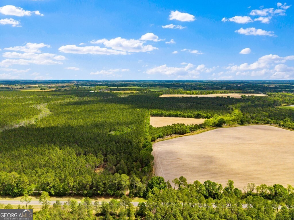 0 Minnie Giddens Road Lenox, GA 31637 - Photo 44 of 49