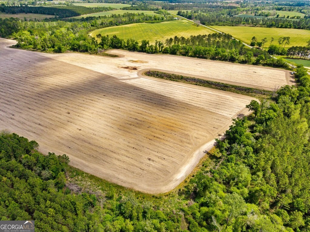 0 Minnie Giddens Road Lenox, GA 31637 - Photo 45 of 49