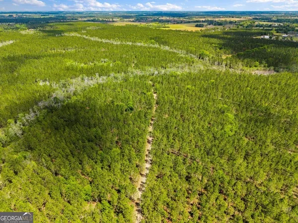 $3,156,975 | 0 Mcmillan Minnie Giddens & Lenox Alapaha Road, Lenox, GA 31637