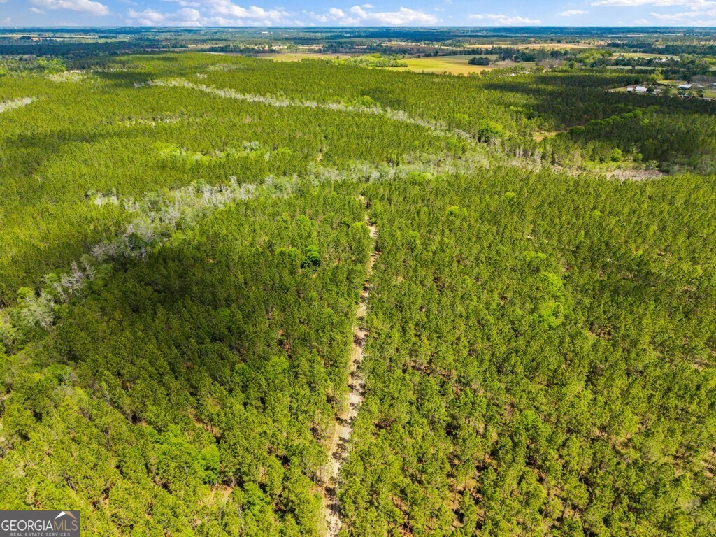 0 Minnie Giddens Road Lenox, GA 31637 - Photo 46 of 49