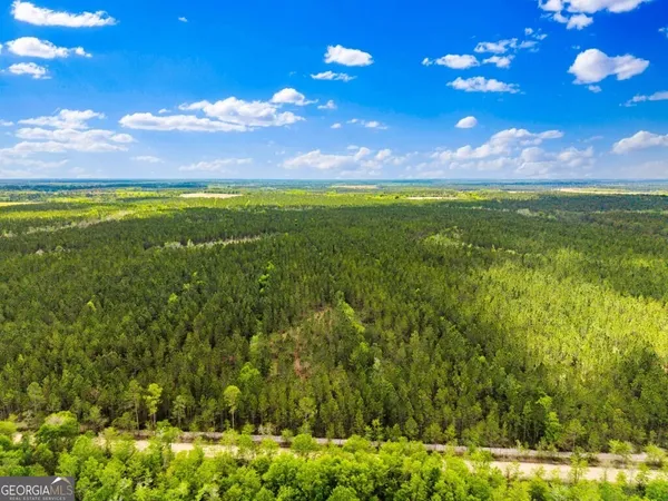 $3,156,975 | 0 Mcmillan Minnie Giddens & Lenox Alapaha Road, Lenox, GA 31637