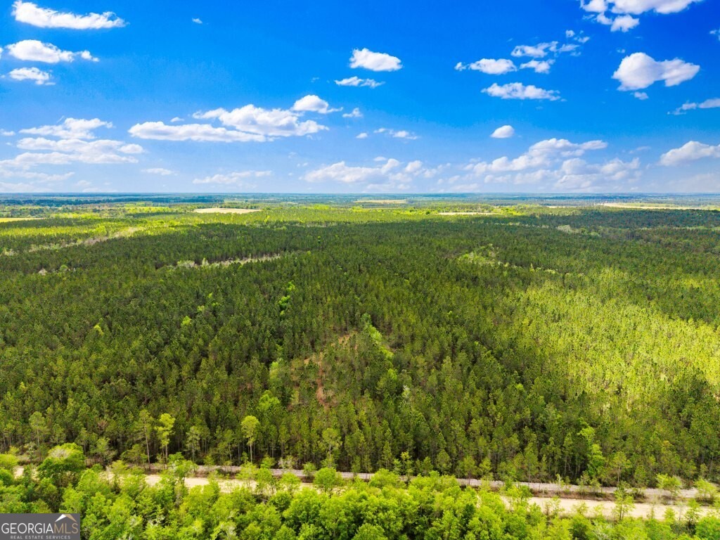 0 Minnie Giddens Road Lenox, GA 31637 - Photo 47 of 49