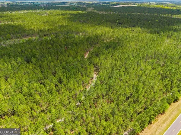 $3,156,975 | 0 Mcmillan Minnie Giddens & Lenox Alapaha Road, Lenox, GA 31637