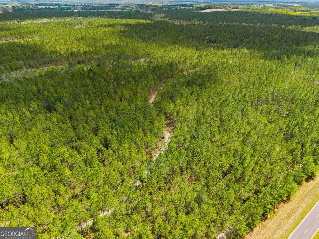 0 Minnie Giddens Road Lenox, GA 31637 - Photo 48 of 49