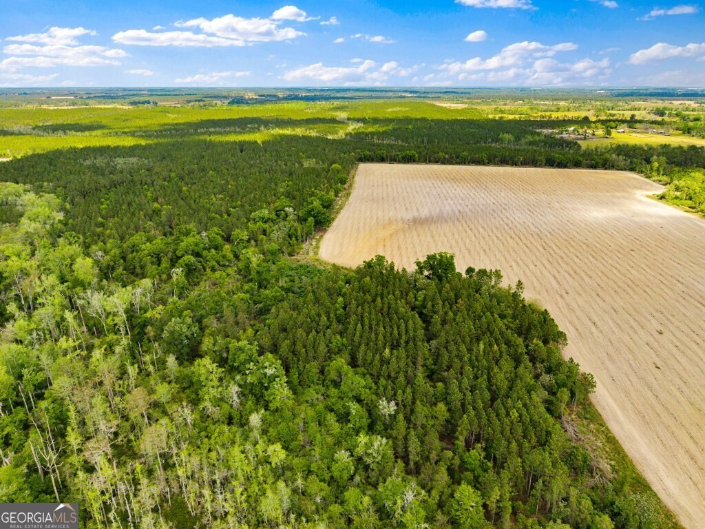 0 Minnie Giddens Road Lenox, GA 31637 - Photo 49 of 49