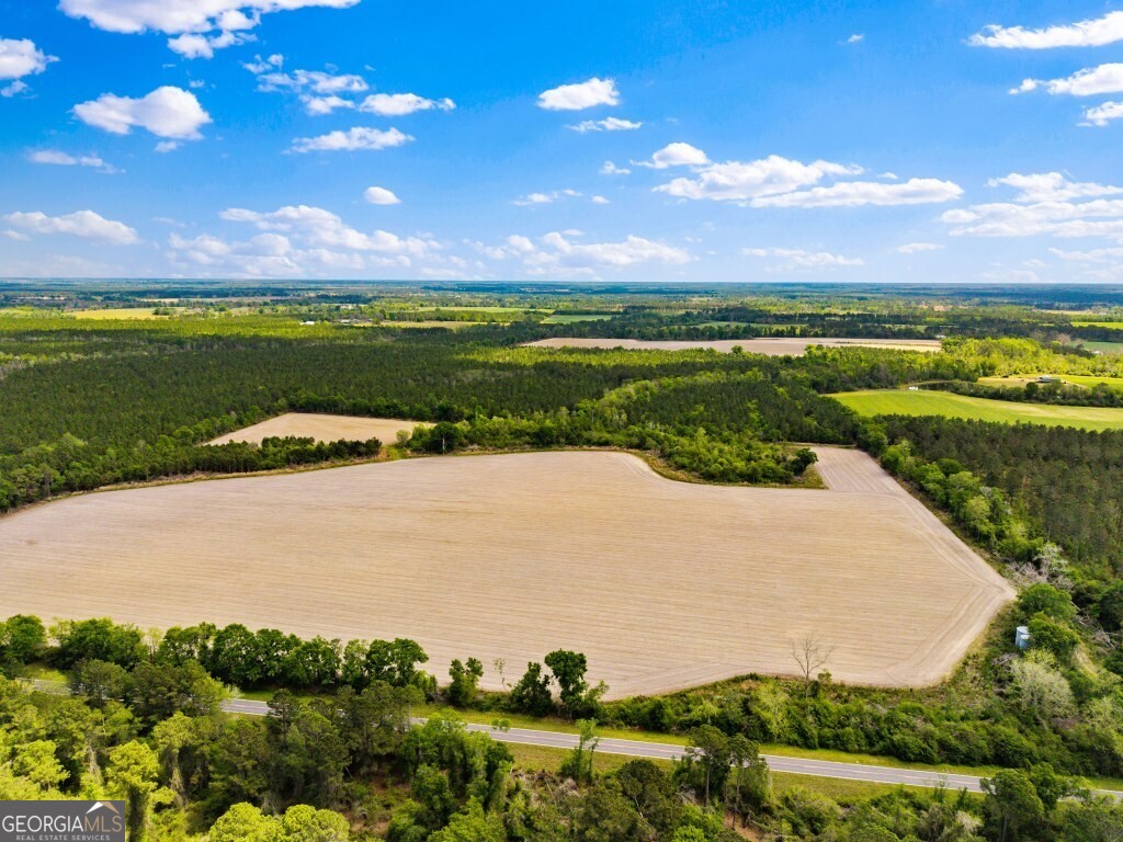 0 Minnie Giddens Road Lenox, GA 31637 - Photo 5 of 49