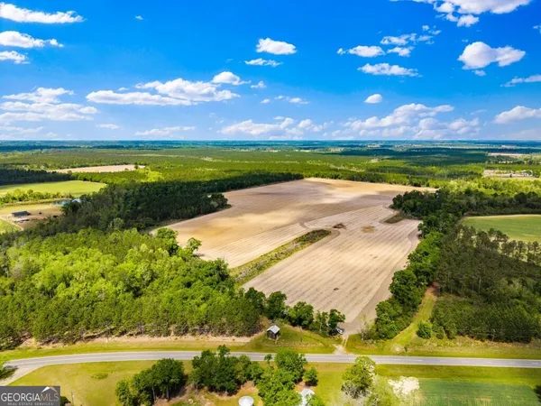 $3,156,975 | 0 Mcmillan Minnie Giddens & Lenox Alapaha Road, Lenox, GA 31637