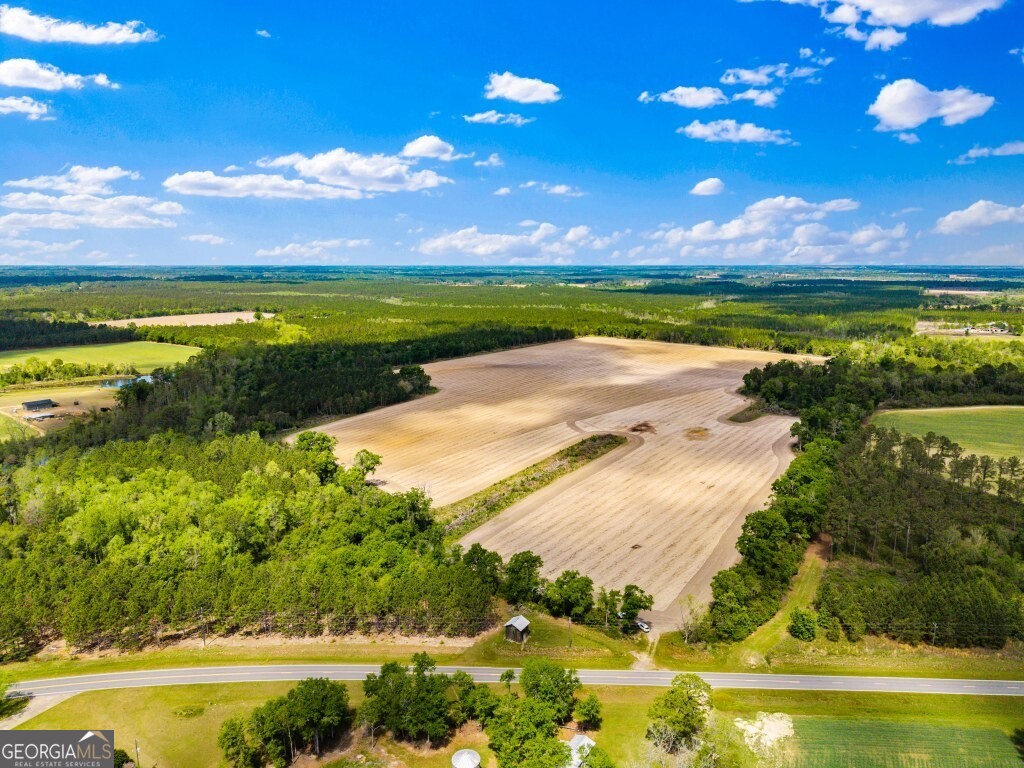 0 Minnie Giddens Road Lenox, GA 31637 - Photo 6 of 49