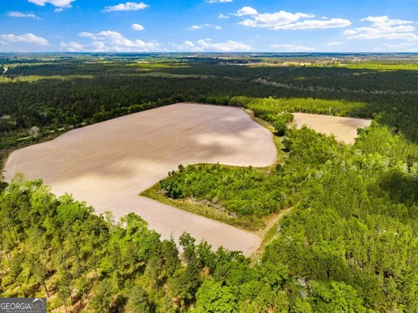 $3,156,975 | 0 Mcmillan Minnie Giddens & Lenox Alapaha Road, Lenox, GA 31637