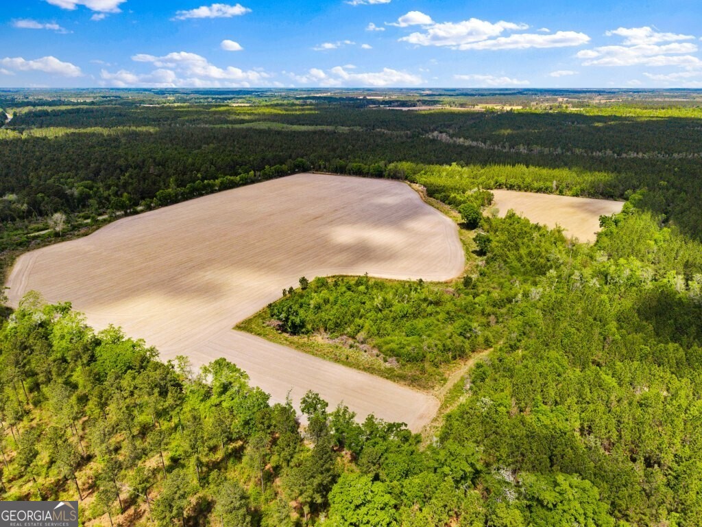 0 Minnie Giddens Road Lenox, GA 31637 - Photo 7 of 49