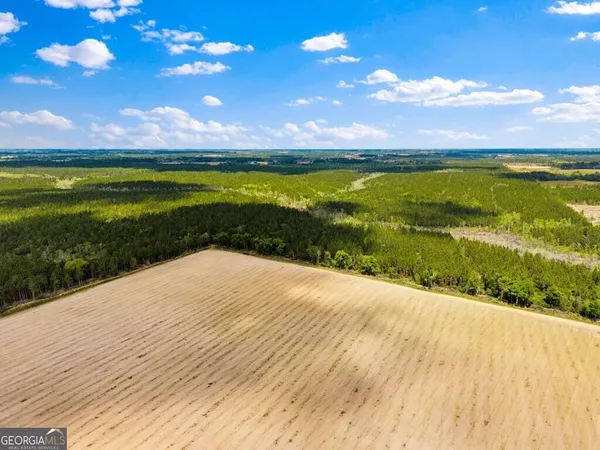 $3,156,975 | 0 Mcmillan Minnie Giddens & Lenox Alapaha Road, Lenox, GA 31637