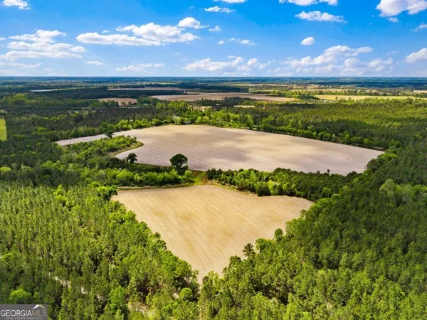 $3,156,975 | 0 Mcmillan Minnie Giddens & Lenox Alapaha Road, Lenox, GA 31637