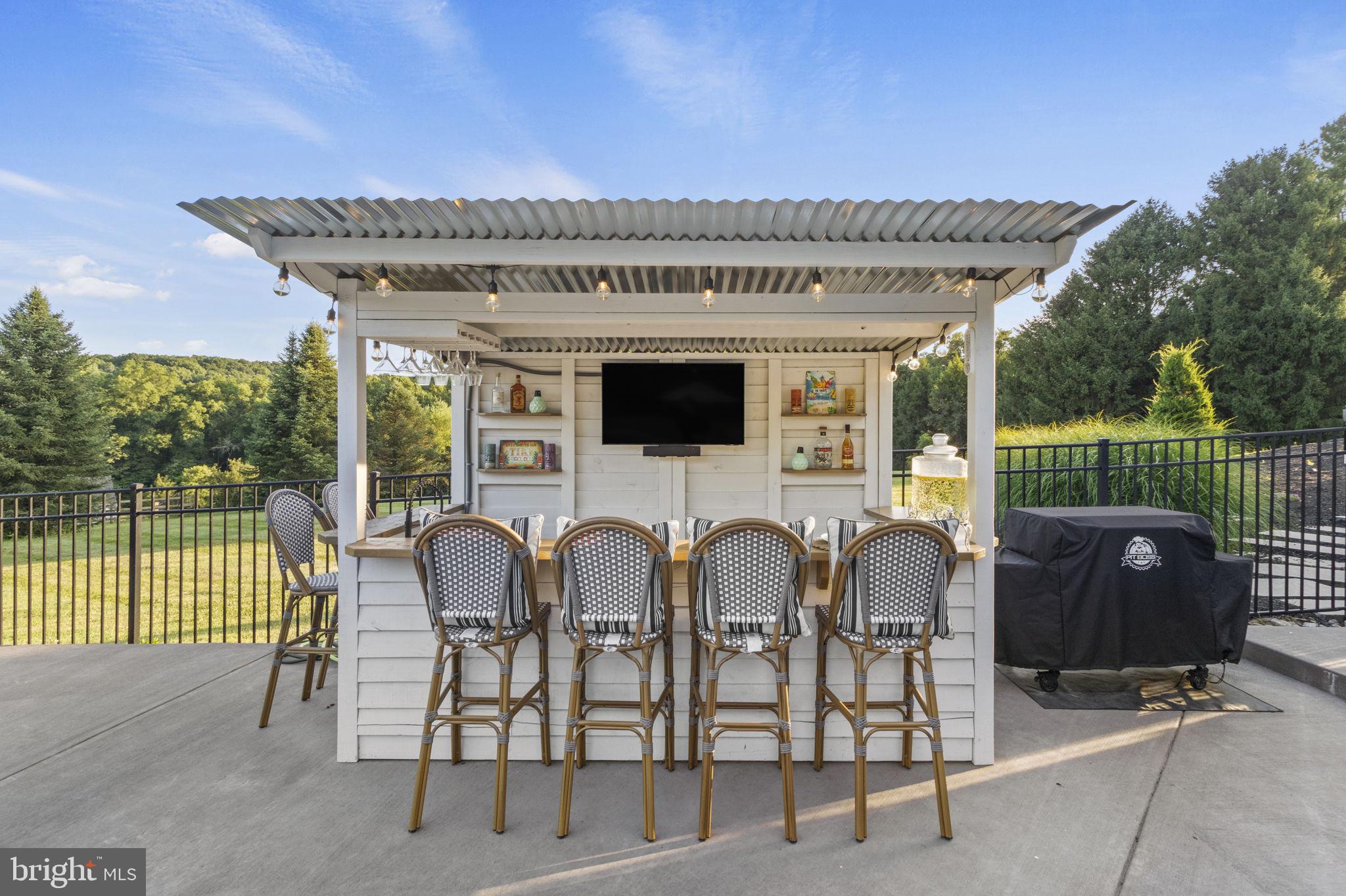 113 Round Hill Road Kennett Square, PA 19348 - Photo 64 of 75 Tiki Bar with Sink