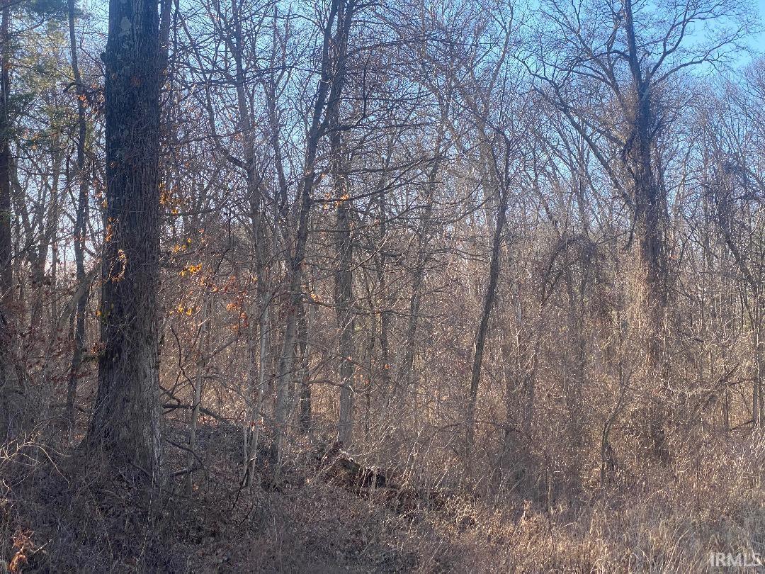 48 Highway 48 Jasonville, IN 47438 - Photo 2 of 3