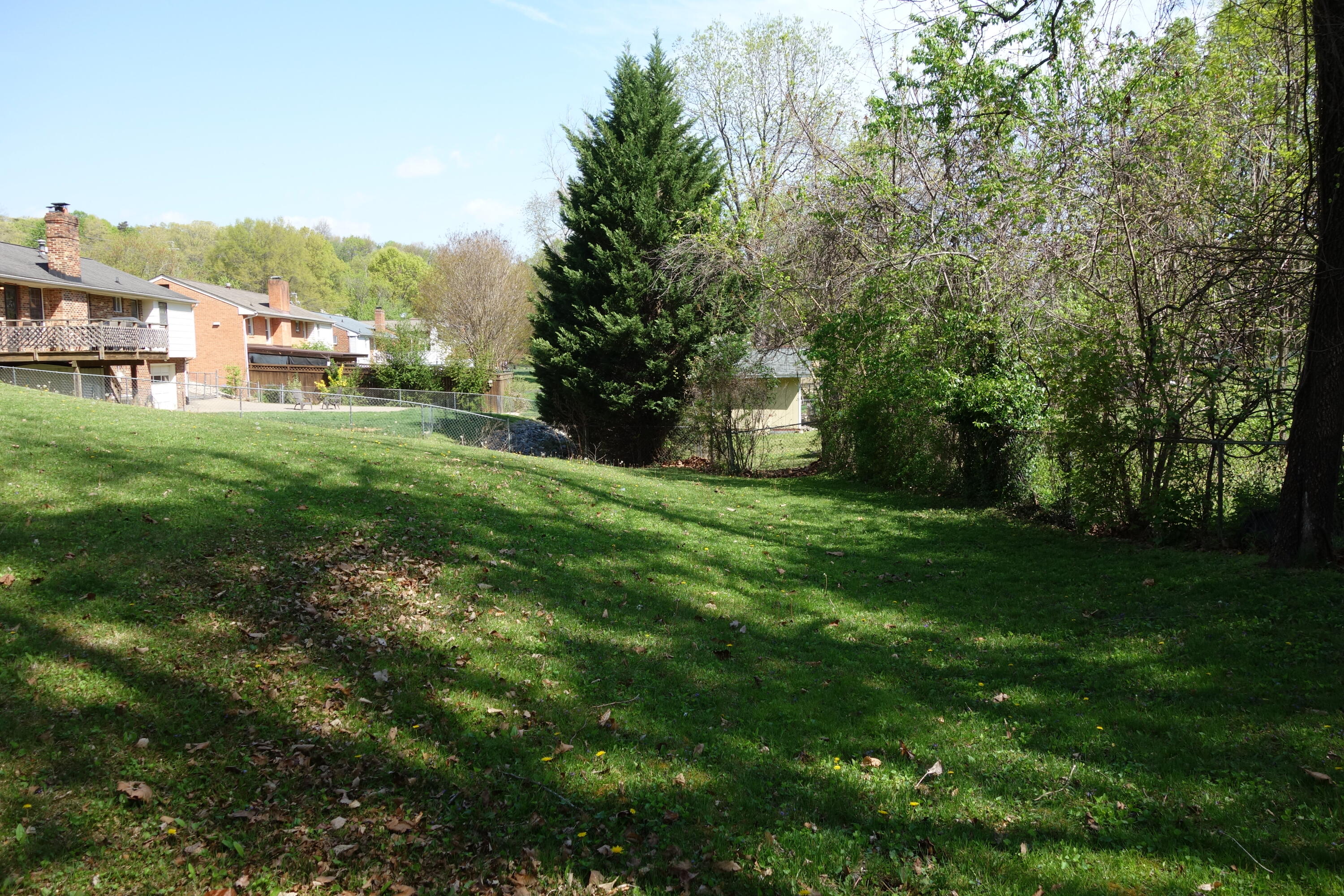 3356 Kenwick Trail Roanoke, VA 24018 - Photo 35 of 39 a view of a big yard with plants and large trees