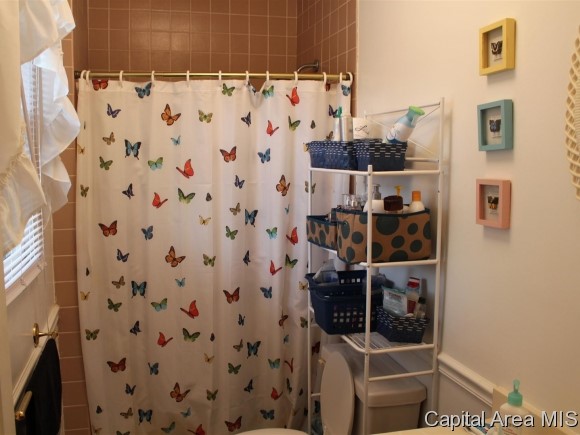 9937 Bell Fountain Road Dawson, IL 62520 - Photo 11 of 24 Gallery Image 11