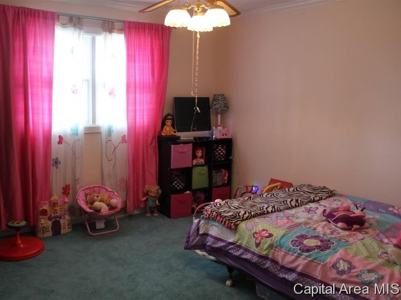 9937 Bell Fountain Road Dawson, IL 62520 - Photo 7 of 24 Gallery Image 7