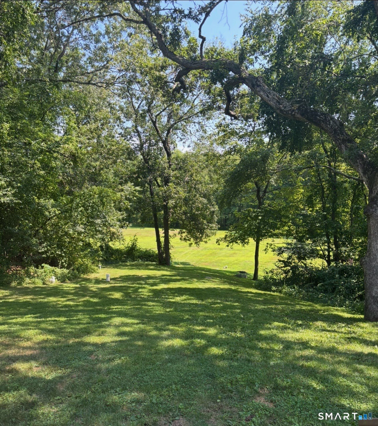 10 Juniper Circle, Unit 10 Monroe, CT 06468 - Photo 27 of 52 a view of a trees in a yard
