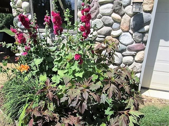 10382 Horton Road Goodrich, MI 48438 - Photo 18 of 72 IMG_5699.JPG