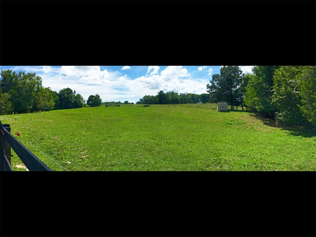 1115 Ebenezer Church Road Talbott, TN 37877 - Photo 6 of 23 Photo 6