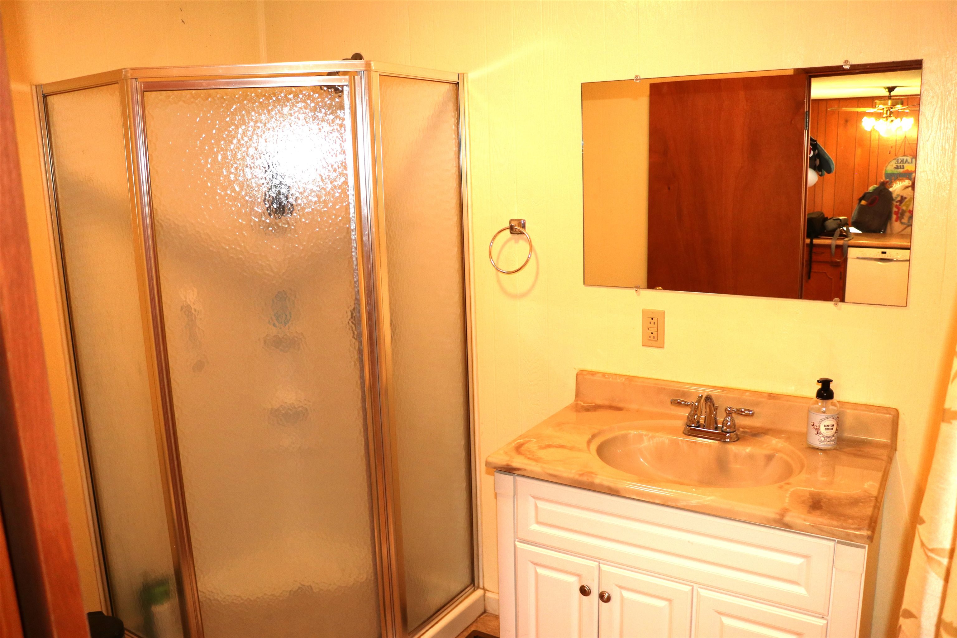 160 Patrick Drive Springville, TN 38256 - Photo 9 of 34 Shower enclosure with frosted glass panels, single vanity with a light-toned countertop, and an oval undermount sink
