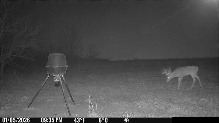 0 South Stanley Road Quenemo, KS 66528 - Photo 42 of 44