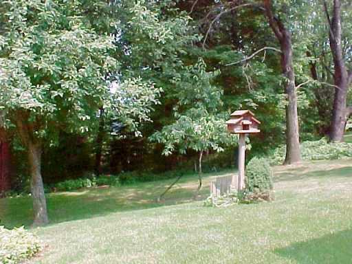5053 Logan Ferry Road Murrysville, PA 15668 - Photo 8 of 8 Yard/Garden.