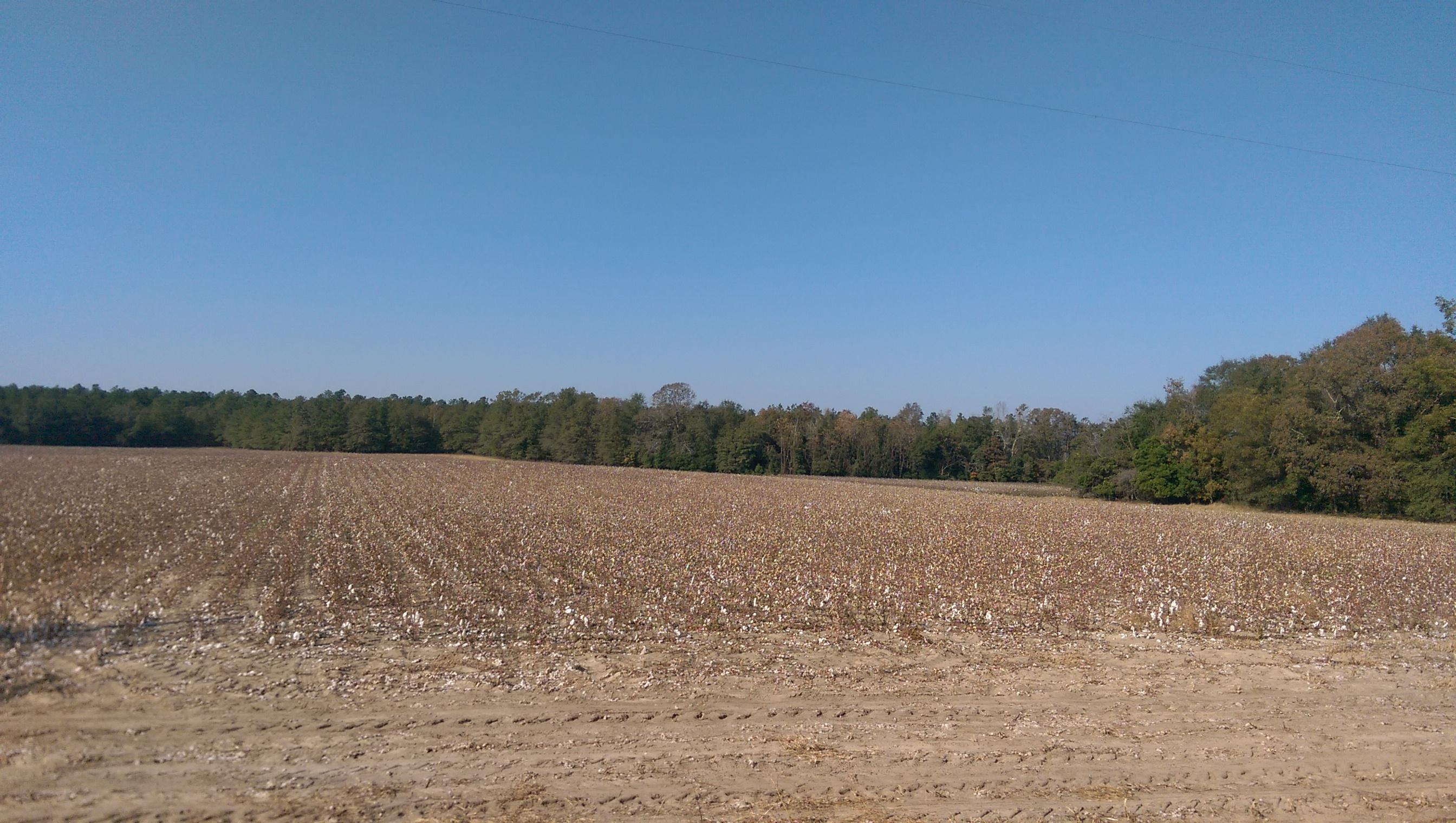 Tbd Tbd Sherlock Road Cameron, SC 29030 - Photo 1 of 5 IMAG2832
