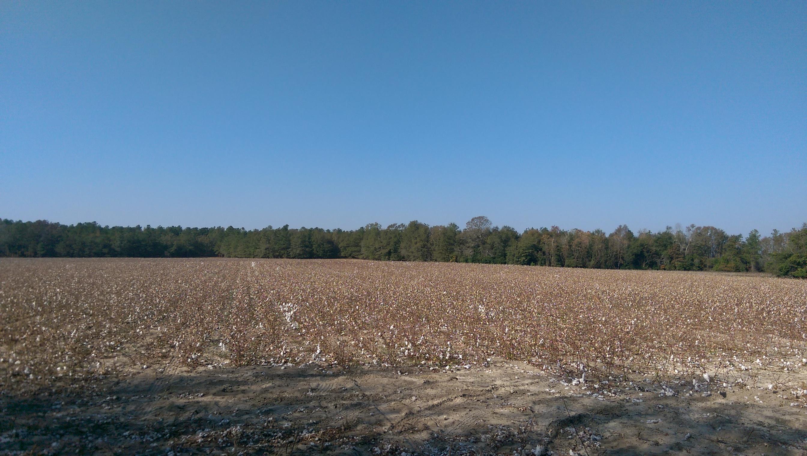 Tbd Tbd Sherlock Road Cameron, SC 29030 - Photo 2 of 5 IMAG2833