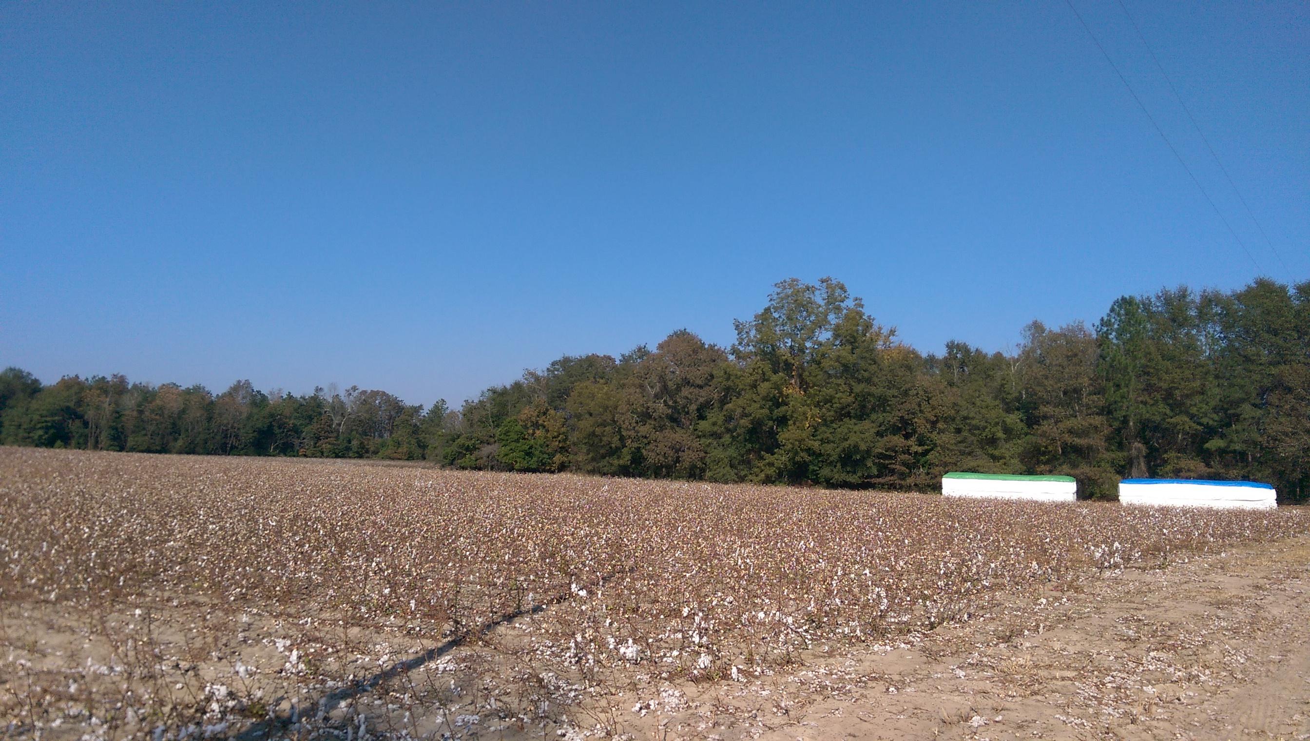 Tbd Tbd Sherlock Road Cameron, SC 29030 - Photo 3 of 5 IMAG2834