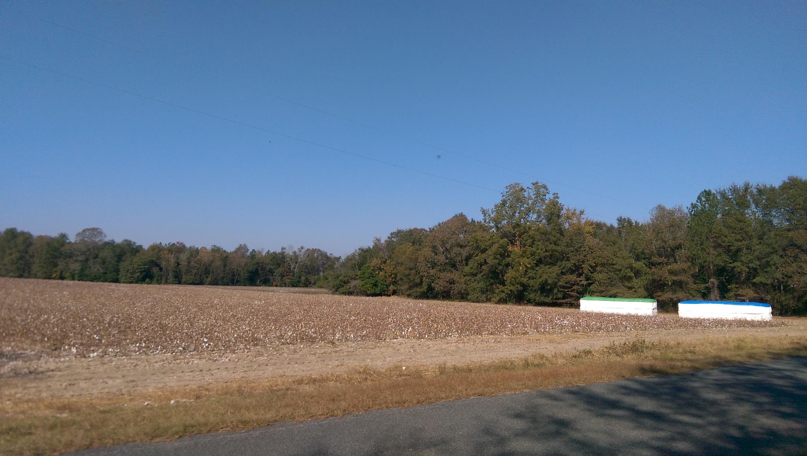 Tbd Tbd Sherlock Road Cameron, SC 29030 - Photo 4 of 5 IMAG2835