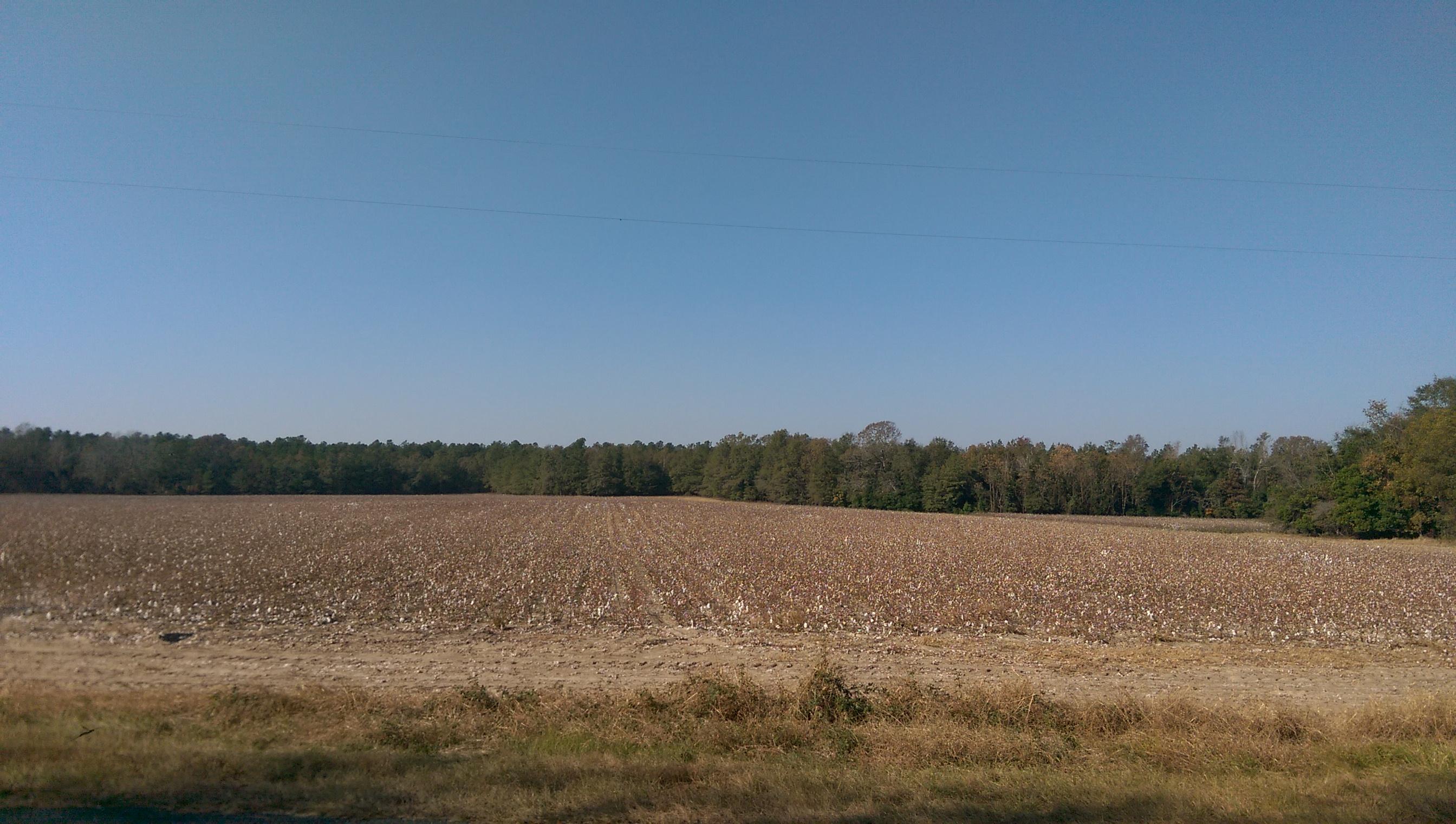 Tbd Tbd Sherlock Road Cameron, SC 29030 - Photo 5 of 5 IMAG2836