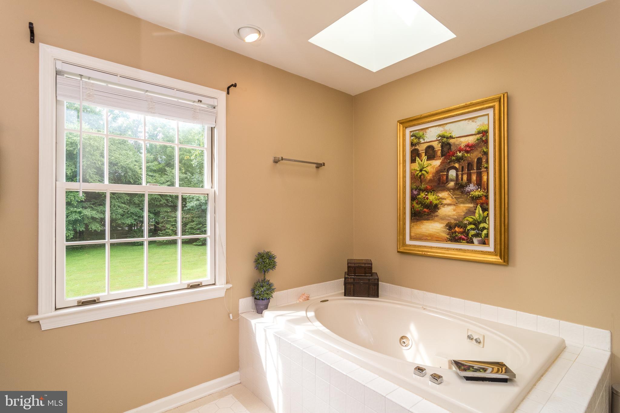 4973 Danielle Drive Doylestown, PA 18902 - Photo 21 of 39 Soaking tub