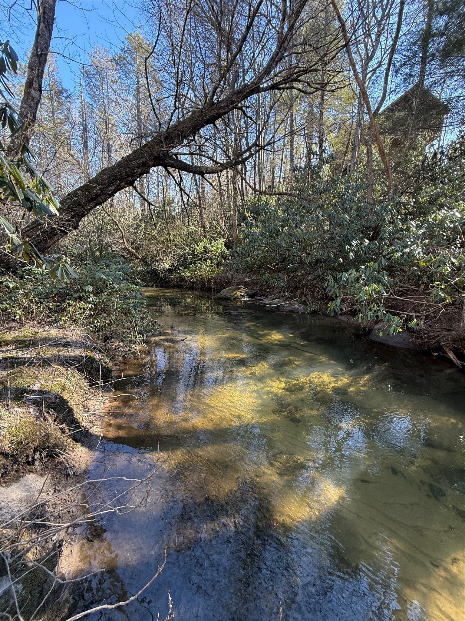 0 North Norton Road Cullowhee, NC 28723 - Photo 7 of 8 Gallery Image 7