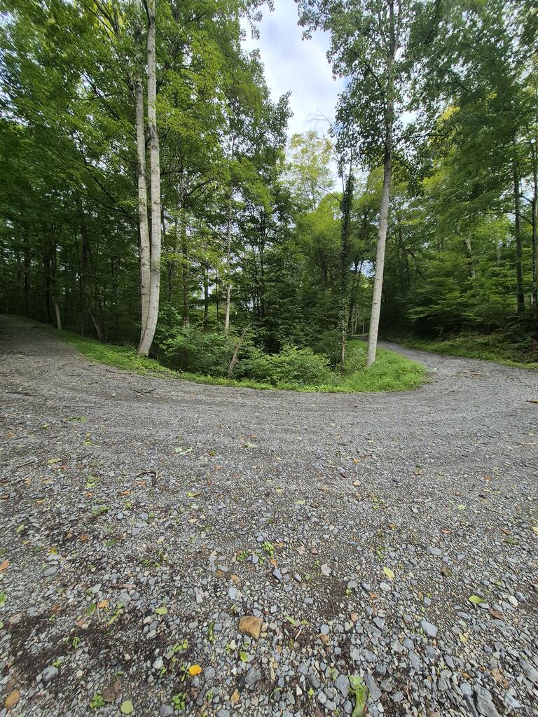 6300 Hurricane Ridge Road Charmco, WV 25958 - Photo 34 of 34 Gallery Image 34