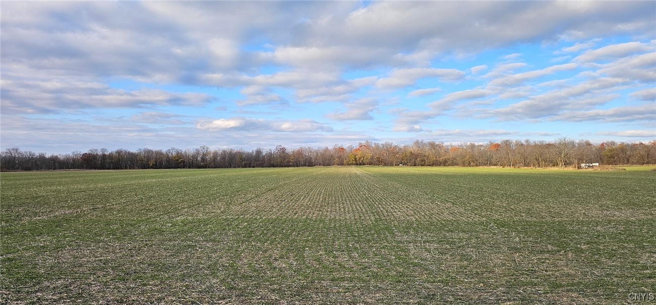 Kennedy Road Romulus, NY 14541 - Photo 5 of 11