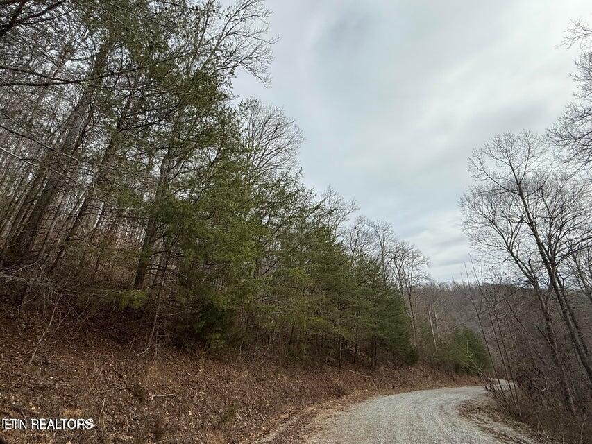Jones Ridge Rd Road Speedwell, TN 37870 - Photo 1 of 3 20250303175712235171000000-o
