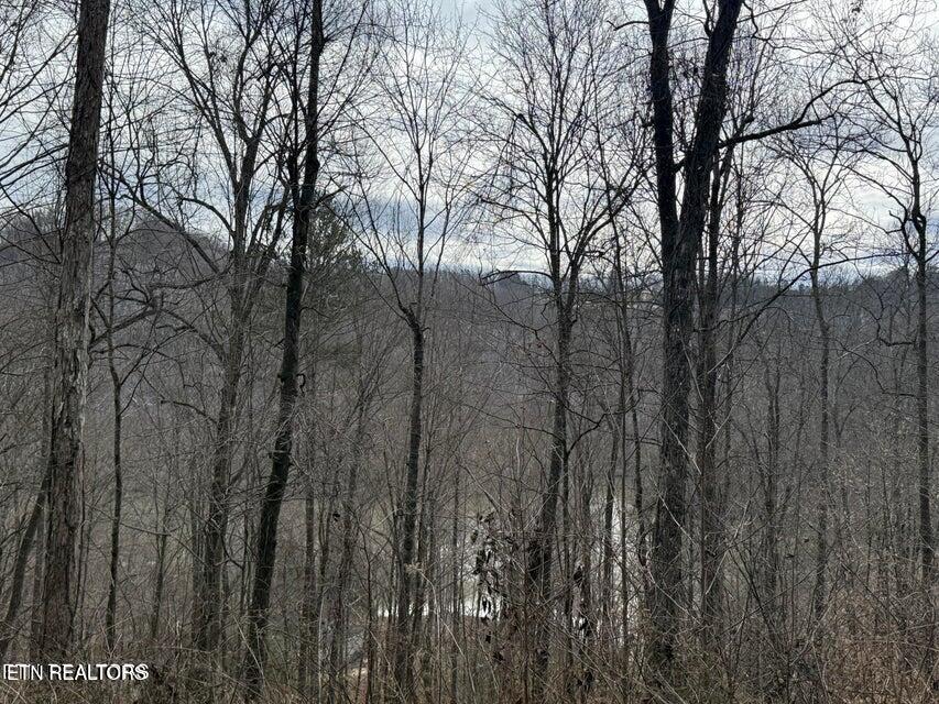 Jones Ridge Rd Road Speedwell, TN 37870 - Photo 2 of 3 20250303175714988679000000-o