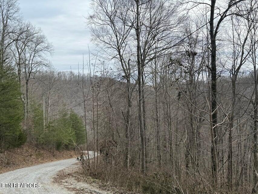 Jones Ridge Rd Road Speedwell, TN 37870 - Photo 3 of 3 20250303175718964289000000-o