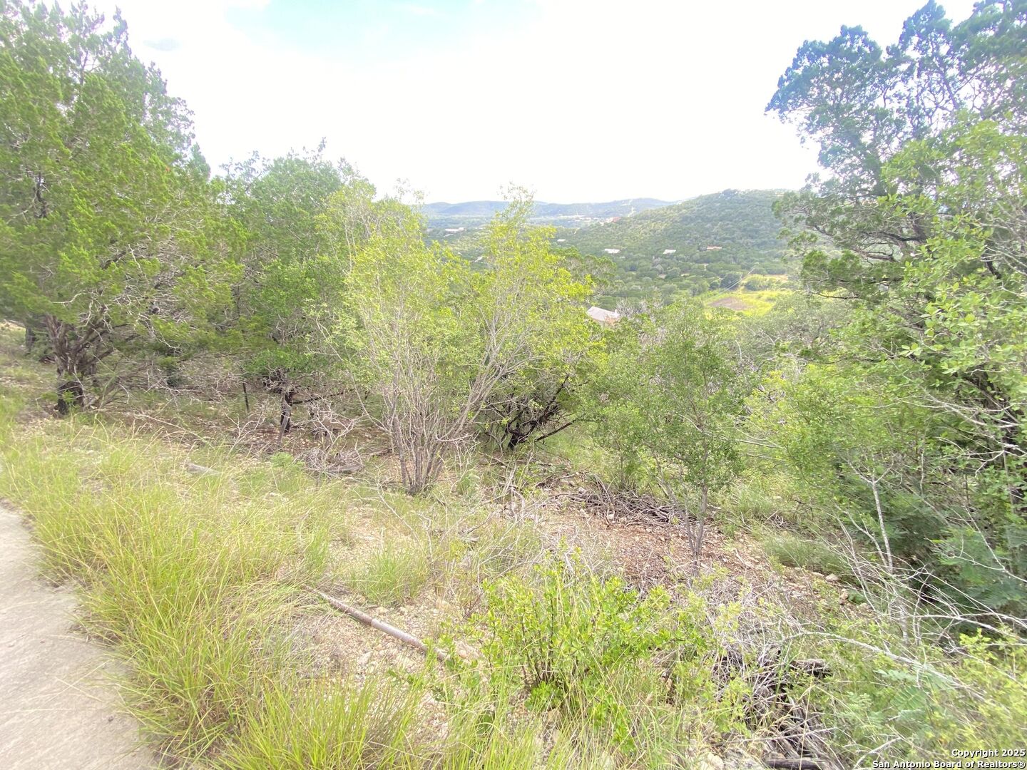 0 Cat Claw Mountain Road Concan, TX 78838 - Photo 5 of 27