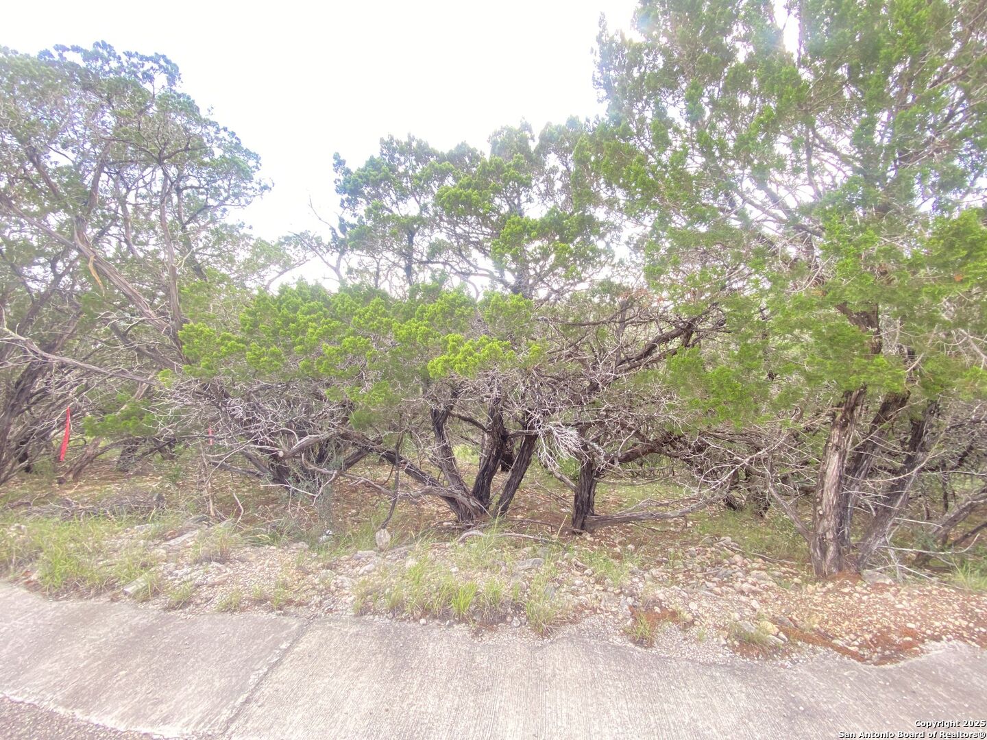 0 Cat Claw Mountain Road Concan, TX 78838 - Photo 8 of 27