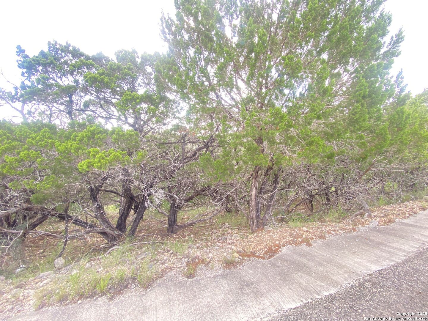 0 Cat Claw Mountain Road Concan, TX 78838 - Photo 9 of 27