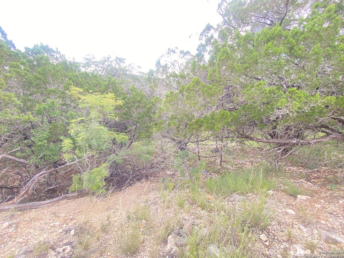 0 Cat Claw Mountain Road Concan, TX 78838 - Photo 10 of 27